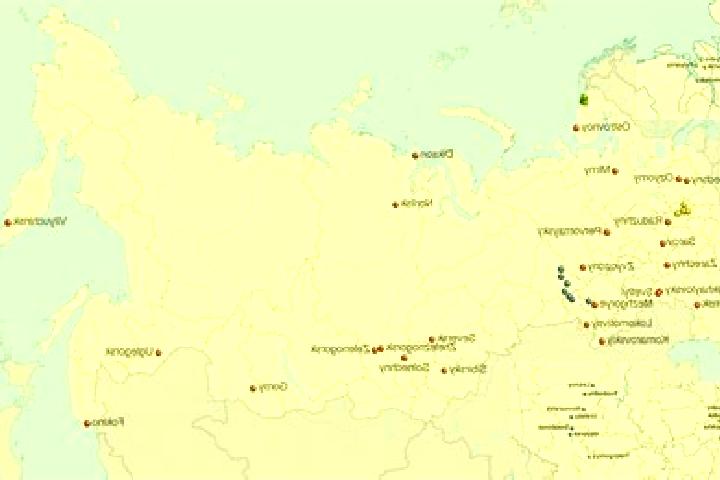 Madison, 39 — Escort in Podosinovets, Russia