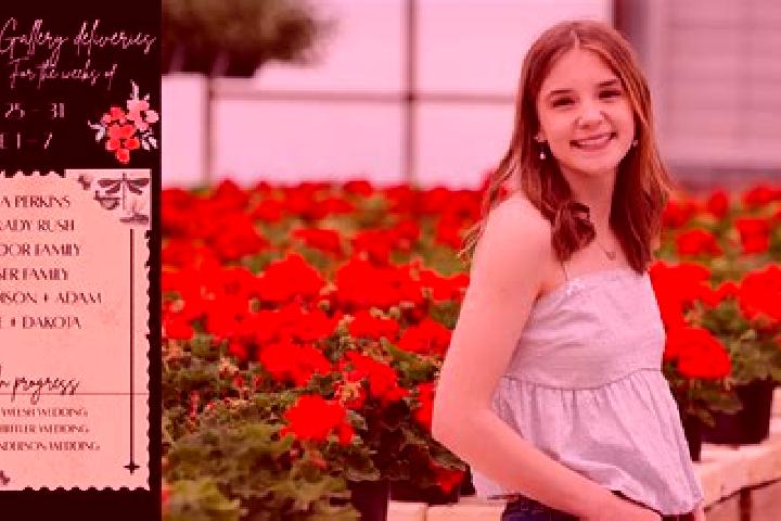 Madison, 39 — Escort in Radeana, Romania