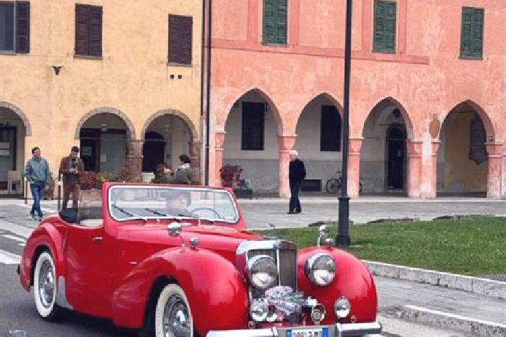 Madison, 39 — Escort in Ripalta Guerina, Italy