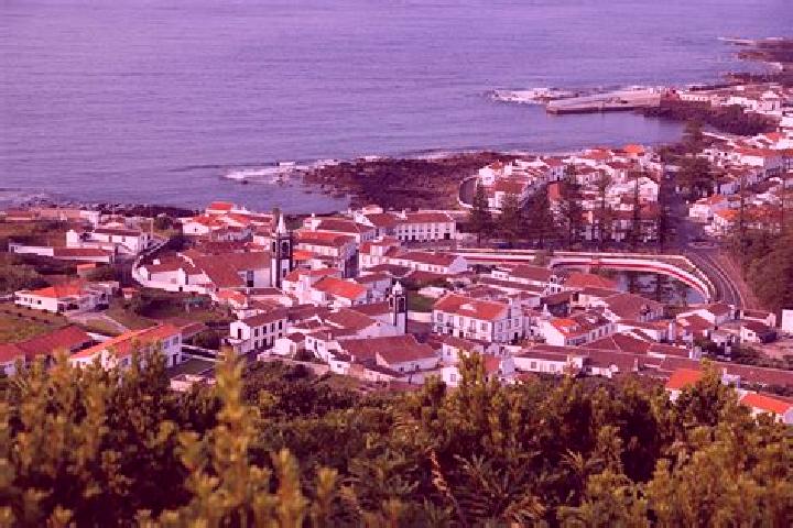 Madison, 39 — Escort in Santa Cruz da Graciosa, Portugal