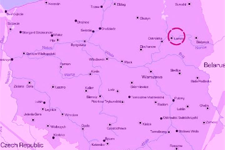 Madison, 39 — Escort in Szumowo, Poland
