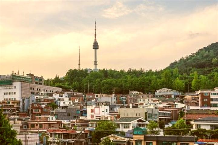 Madison, 39 — Escort in Yongsan-dong, South Korea