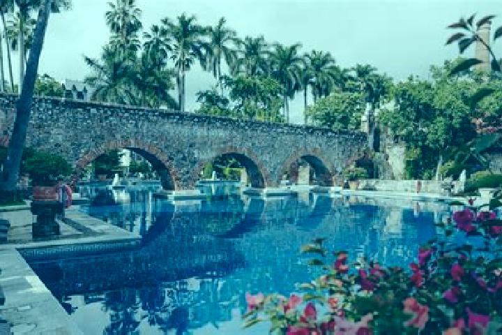 Madison, 39 — Escort in Zahuatlan de Morelos (San Jose), Mexico