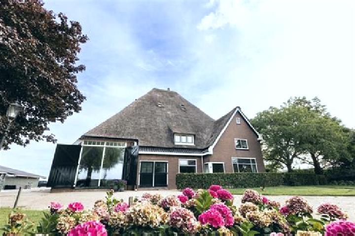 Madison, 39 — Escort in Zwaagdijk-Oost, Netherlands