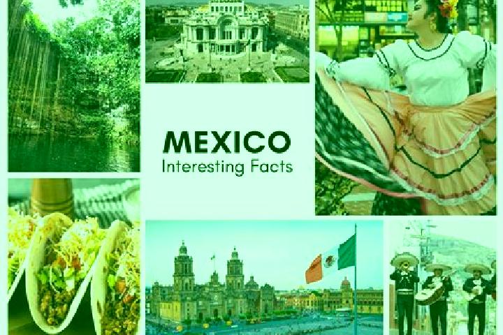 Maya, 20 — Escort in Limontitan Grande, Mexico