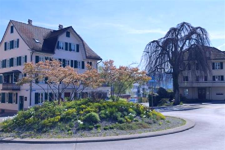 Maya, 20 — Escort in Richterswil / Richterswil (Dorfkern), Switzerland
