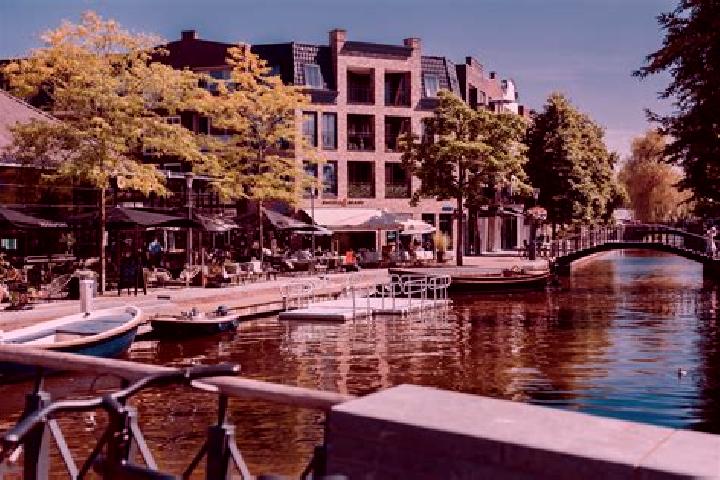 Maya, 20 — Escort in Voorschoten, Netherlands