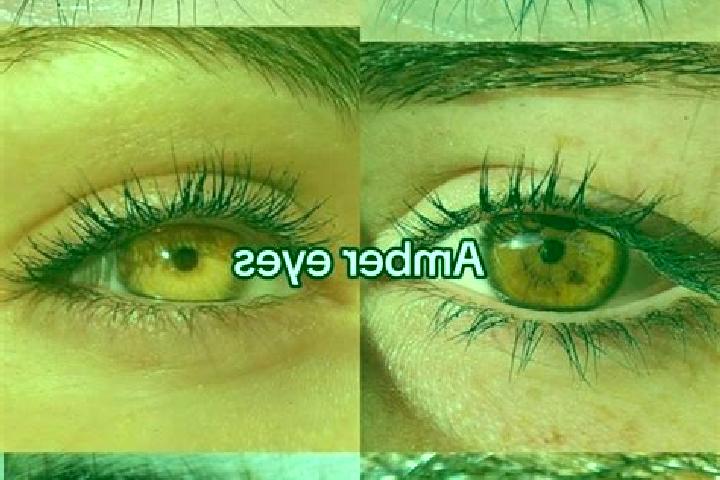 Maya, 21, a chestnut amber-eyed caucasian companion based in Bulak. Offering Tantra, 69, Domination. Available for incall and outcall, overnight bookings ava...