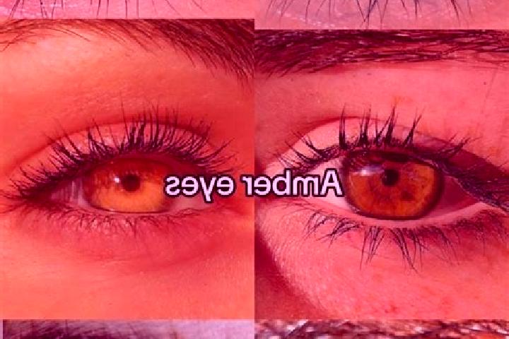 Maya, 21, a chestnut amber-eyed indian companion based in Spanish. Offering Deep French Kissing, Fetish, CIM. Available for incall and outcall, day and eveni...