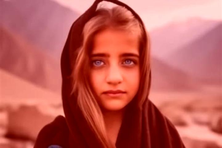 Maya, 21, a red grey-eyed middle eastern companion based in Pendolo. Offering Overnight, Dinner Date, Deep French Kissing. Available for incall and outcall, ...