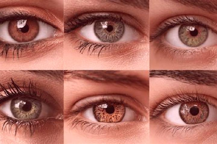 Maya, 22, a black hazel-eyed ebony companion based in Goesterli. Offering A-Level, Overnight, Travel Companion. Available for incall and outcall, day and eve...