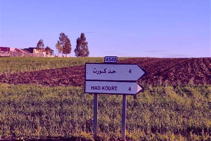 Maya, 22 — Escort in Had Kourt, Morocco