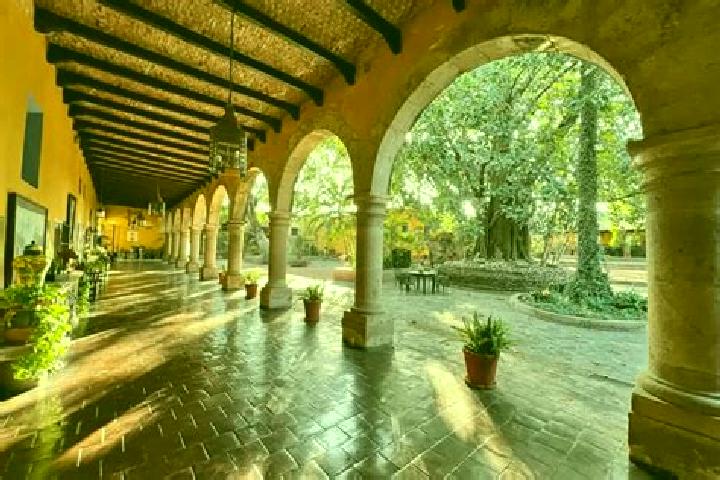 Maya, 22 — Escort in Tepoztlan, Mexico