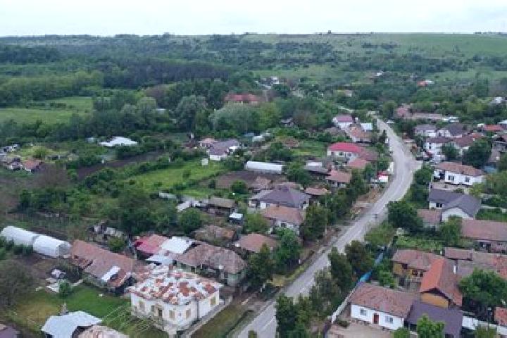 Maya, 22 — Escort in Varvoru de Jos, Romania
