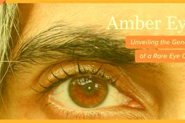 Maya, 23, a red amber-eyed middle eastern companion based in Hatod. Offering Travel Companion, Deep French Kissing, Overnight, Girlfriend Experience. Availab...