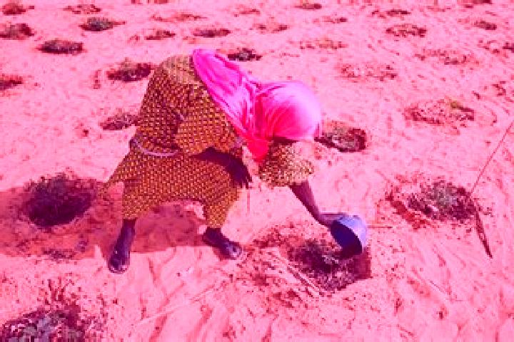 Maya, 23 — Escort in Ouallam, Niger