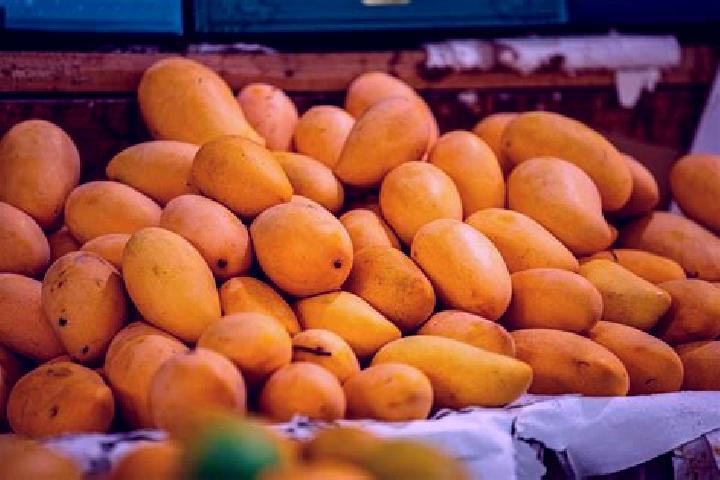 Maya, 23 — Escort in Plan de los Mangos, Mexico