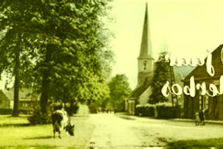 Maya, 23 — Escort in Pulderbos, Belgium