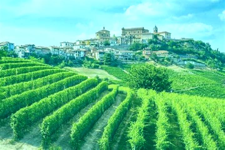Maya, 23 — Escort in Sale delle Langhe, Italy