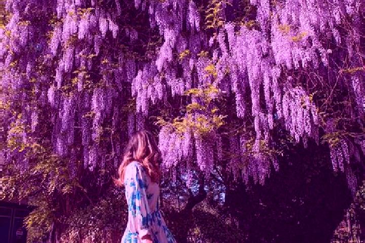 Maya, 23 — Escort in Schitu Scoicesti, Romania