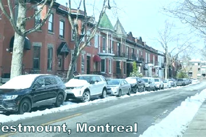 Maya, 23 — Escort in Westmount, Canada
