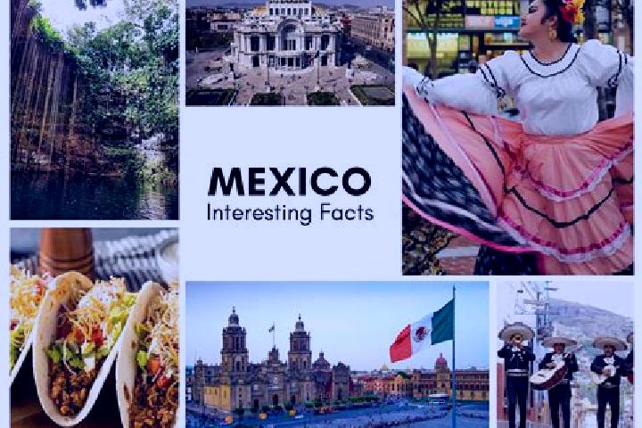 Maya, 24 — Escort in Jochinteol, Mexico