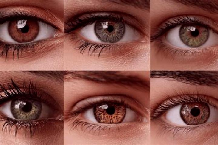 Maya, 25, a black hazel-eyed european companion based in Codorniz. Offering OWO, Girlfriend Experience, A-Level. Available for incall and outcall, overnight ...