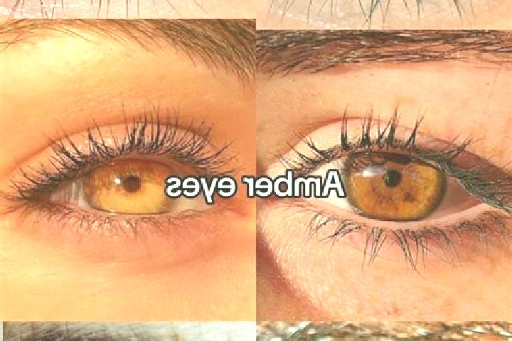 Maya, 25, a chestnut amber-eyed indian companion based in New Freedom. Offering Tantra, OWO, CIM. Available for incall and outcall, day and evening dates.