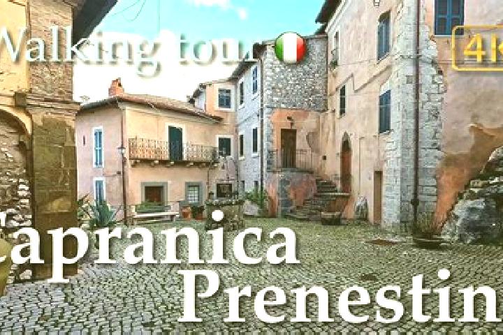 Maya, 25 — Escort in Capranica Prenestina, Italy