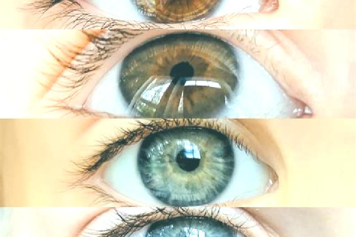 Maya, 26, a chestnut amber-eyed mixed companion based in Oelet. Offering Travel Companion, A-Level, OWO. Available for incall and outcall, day and evening da...