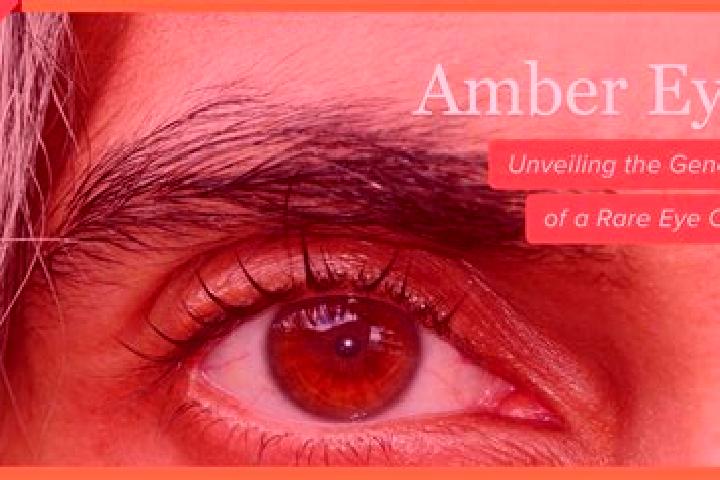 Maya, 27, a red amber-eyed mediterranean companion based in Zeulenroda. Offering Duos, CIM, Overnight, Domination. Available for incall and outcall, day and ...