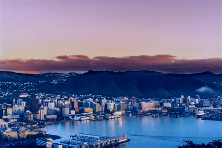 Maya, 27 — Escort in Wellington, New Zealand