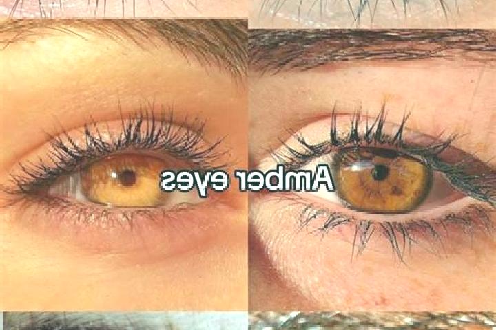 Maya, 28, a brunette amber-eyed caribbean companion based in Handrema. Offering A-Level, 69, OWO, CIM. Available for incall and outcall, overnight bookings a...