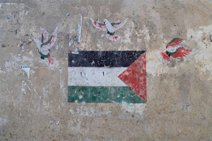 Maya, 28 — Escort in Bani Zayd ash Sharqiyah, Palestine