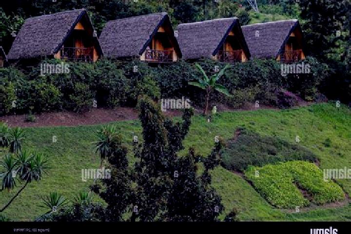 Maya, 28 — Escort in Kirambo, Rwanda