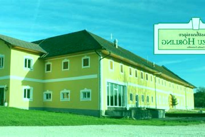 Maya, 29 — Escort in Buchkirchen, Austria