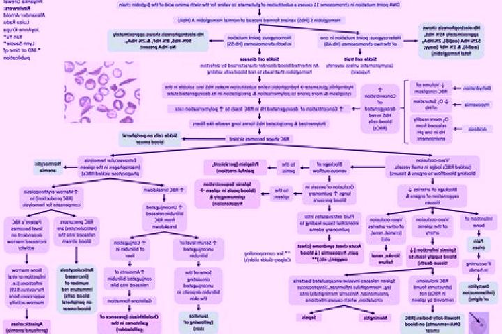 Maya, 29 — Escort in Dragioiu, Romania