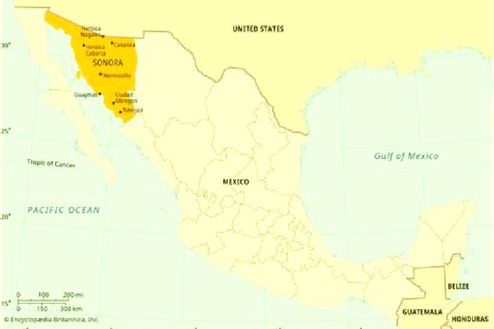 Maya, 29 — Escort in Ejido Sonora, Mexico