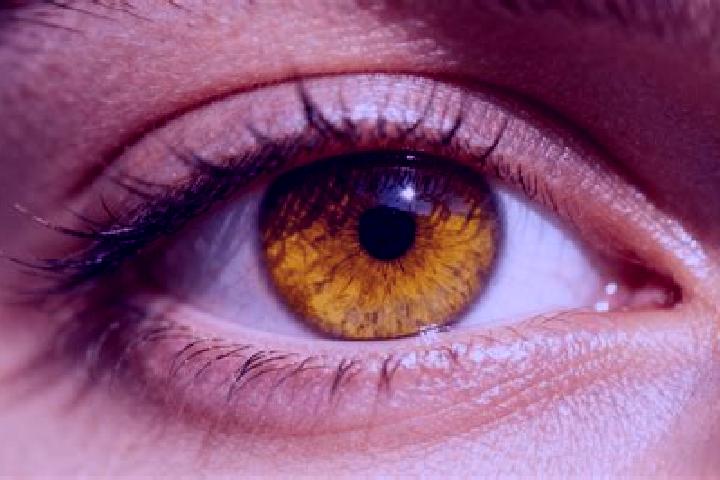 Maya, 30, a auburn amber-eyed european companion based in Sencur. Offering Roleplay, Couples, Girlfriend Experience. Available for incall and outcall, day an...