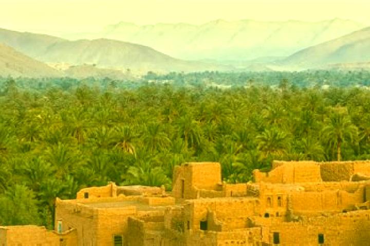 Maya, 30 — Escort in Sidi Bibi, Morocco