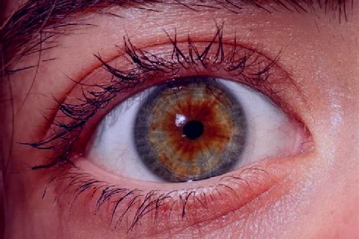 Maya, 31, a red hazel-eyed mediterranean companion based in Mestec Kralove. Offering Massage, Tantra, OWO. Available for incall and outcall, day and evening ...
