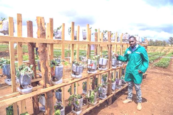 Maya, 31 — Escort in Garsen, Kenya