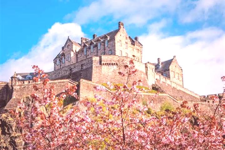 Maya, 31 — Escort in Scotland, United States
