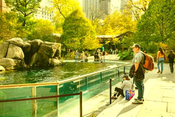 Maya, 32 — Escort in The Central Park, Hong Kong