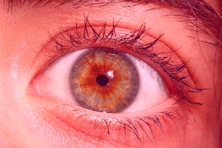 Maya, 33, a red hazel-eyed mediterranean companion based in Kirazli. Offering Tantra, Domination, Overnight. Available for incall and outcall, overnight book...