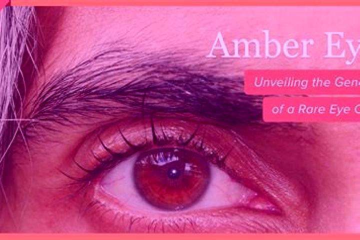 Maya, 34, a red amber-eyed caucasian companion based in West Footscray. Offering Travel Companion, Striptease, Duos, Domination, GFE. Available for incall an...
