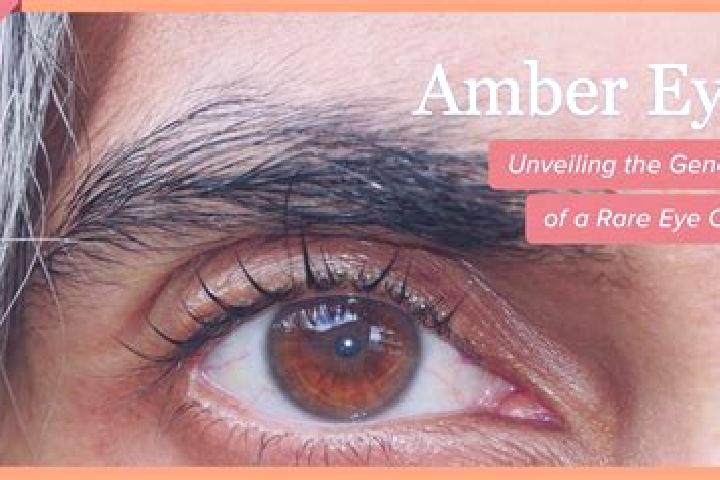 Maya, 34, a red amber-eyed indian companion based in Los Ranchos de Albuquerque. Offering CIM, 69, GFE, A-Level. Available for incall and outcall, overnight ...