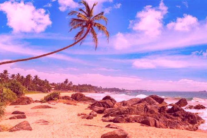 Maya, 34 — Escort in Ambalangoda, Sri Lanka