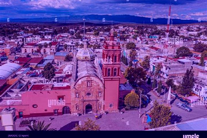 Maya, 34 — Escort in Charcas, Mexico