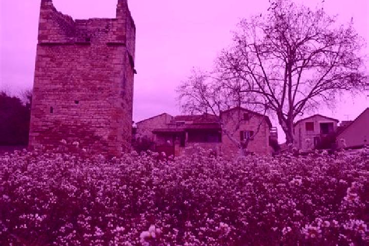 Maya, 34 — Escort in Garrigues-Sainte-Eulalie, France
